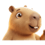 Капи